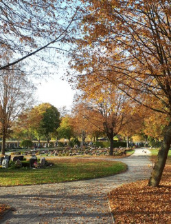 Friedhof Eckersdorf